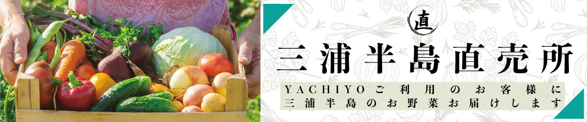三浦半島直売所